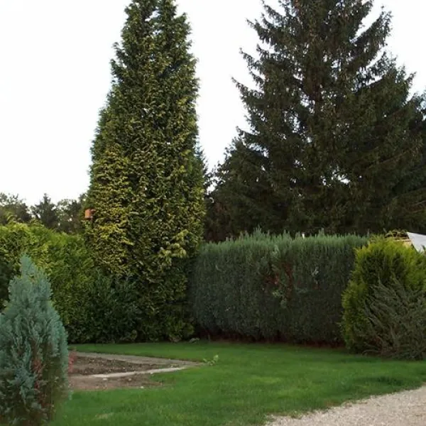 camping-holzmichel-straelen-2z0a5
