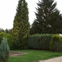 camping-holzmichel-straelen-2z0a5
