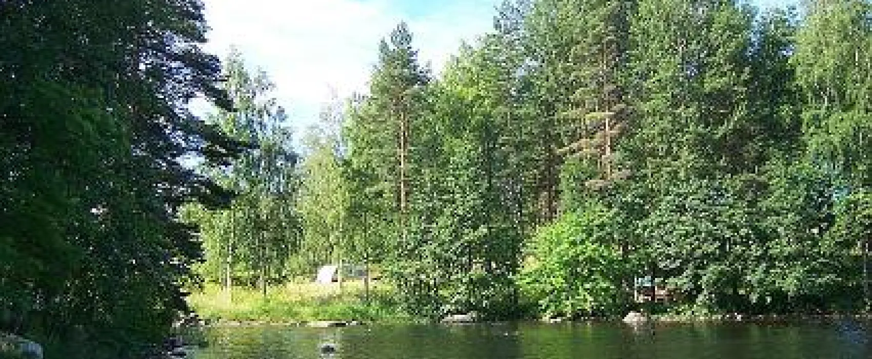 Mäntymotelli