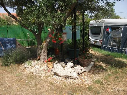 autocamp-matija-betina-fu77x