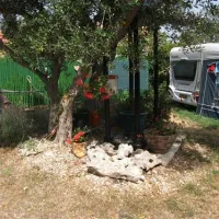 autocamp-matija-betina-fu77x
