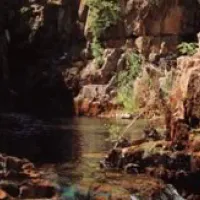 batchelor-resort-caravillage-batchelor-tnyls