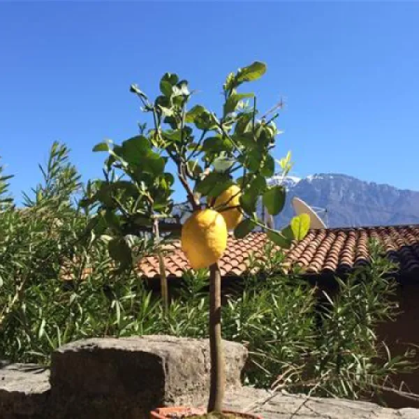 camping-cisano-cisano-di-bardolino-1doyd