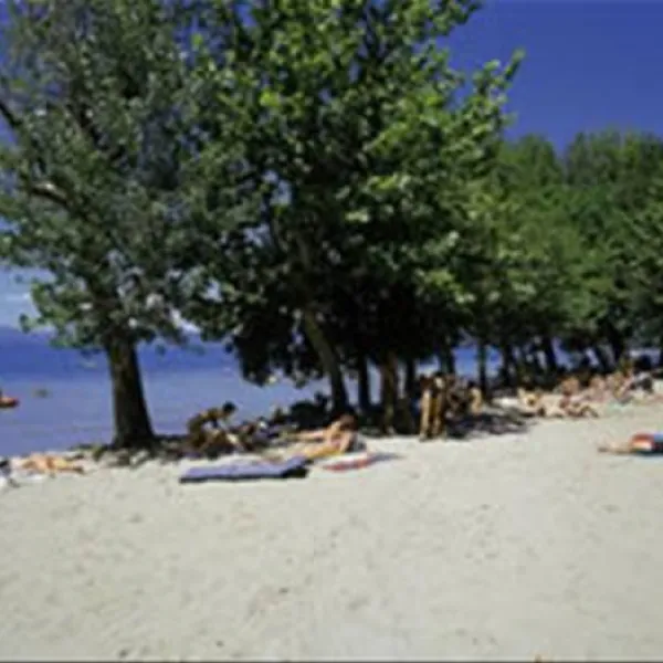 camping-cisano-cisano-di-bardolino-iavcy