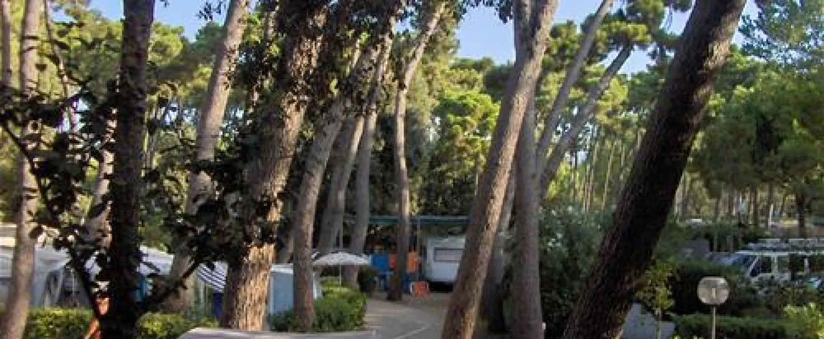 Camping Settebello