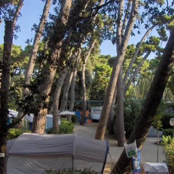 camping-settebello-salto-di-fondi-bdsfw