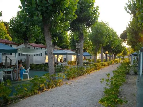 camping-settebello-salto-di-fondi-g8nj3