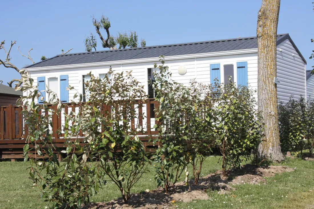 camping-les-oliviers-st-denis-d-oleron-i1xg6