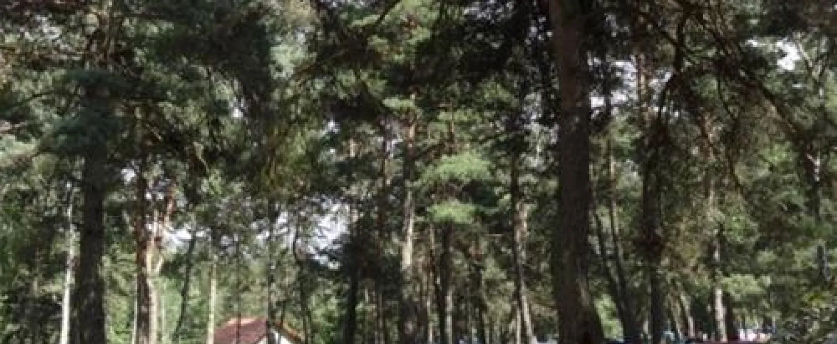 Camping Duchonka