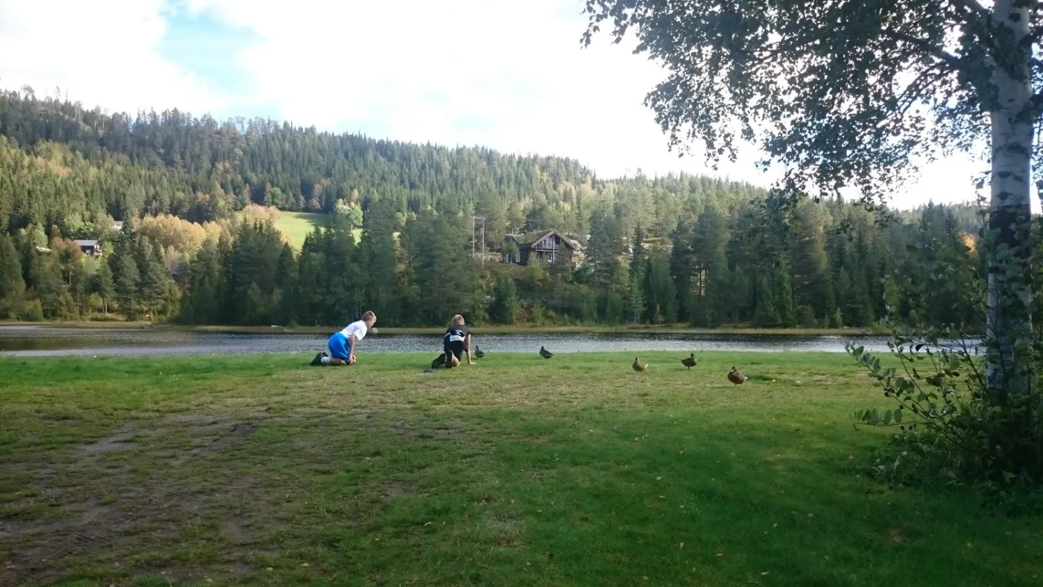 hyllandsfoss-camping-mot-rouf2