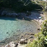 camping-krk-krk-ziga4