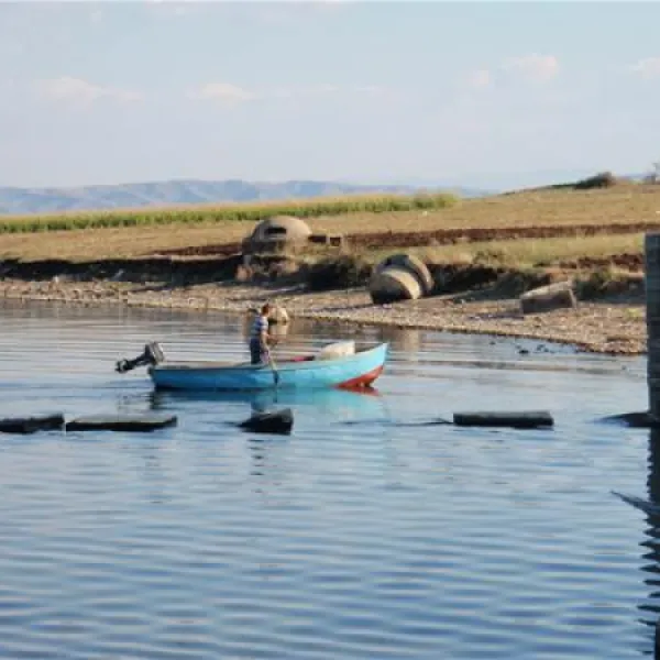 camping-peshku-pogradec-izcyl