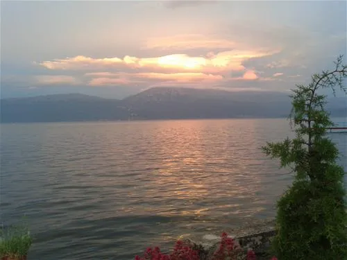 camping-peshku-pogradec-or1v0