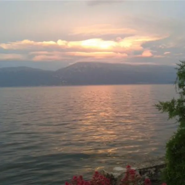 camping-peshku-pogradec-or1v0