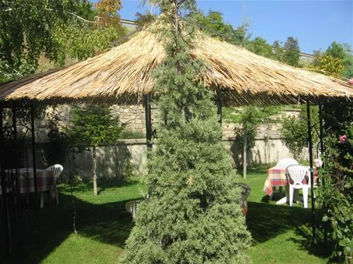 camping-peshku-pogradec-pawkq