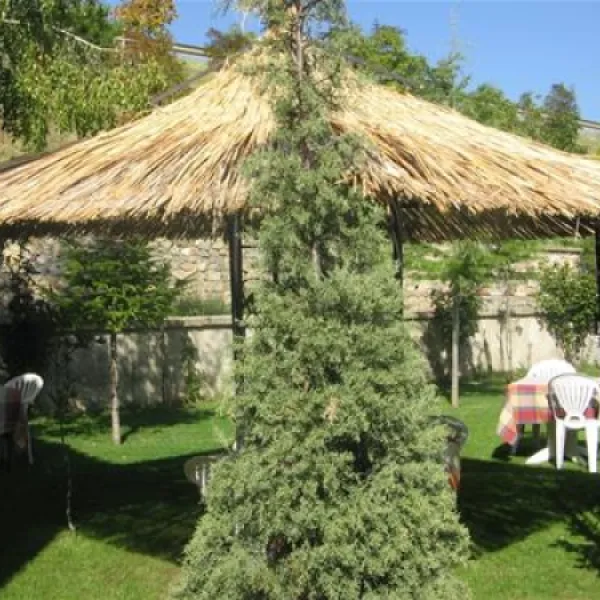 camping-peshku-pogradec-pawkq