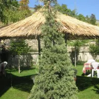 camping-peshku-pogradec-pawkq