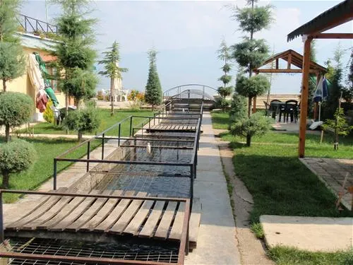 camping-peshku-pogradec-qlwyr