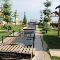 camping-peshku-pogradec-qlwyr
