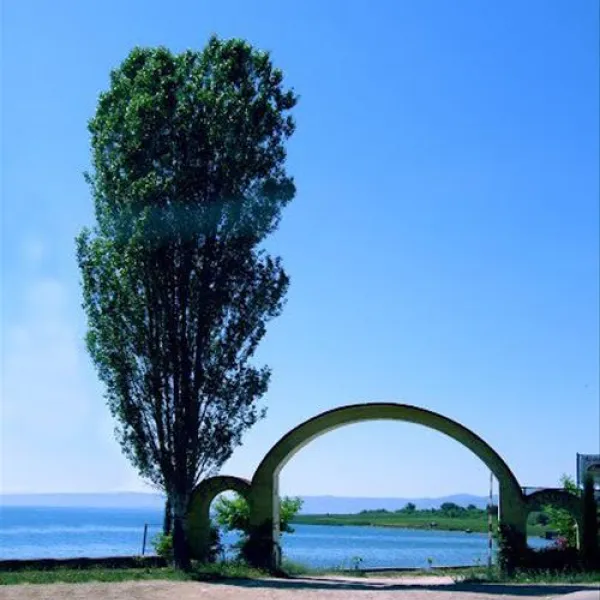 camping-peshku-pogradec-zpdzr