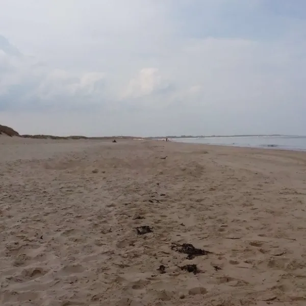 camping-vredenhoef-kamperland-m6rmn