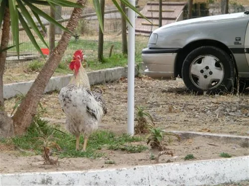 parque-campismo-alpiara-alpiara-lxz0k