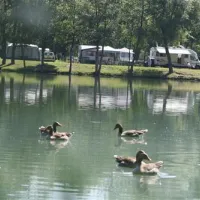 camping-lac-vert-plage-doulcon-t3opc