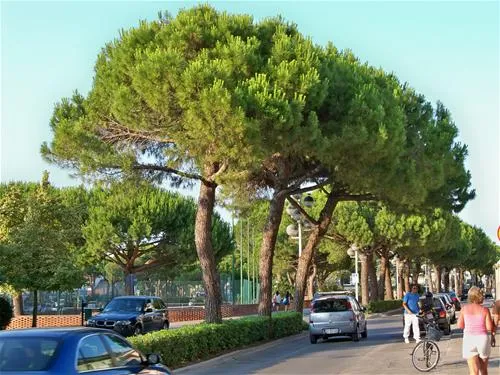 camping-santa-margherita-caorle-beqrt