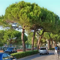 camping-santa-margherita-caorle-beqrt