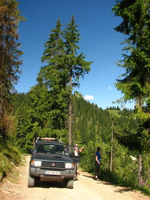 camping-eldorado-gilau-jxqqu