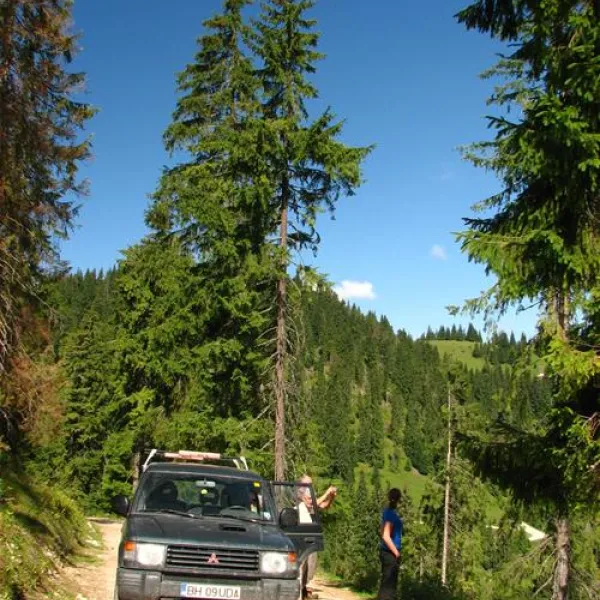 camping-eldorado-gilau-jxqqu