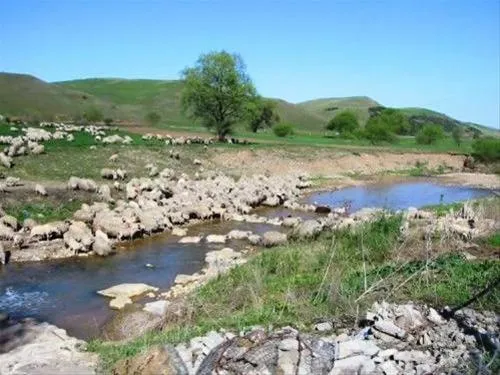 camping-eldorado-gilau-swv3q