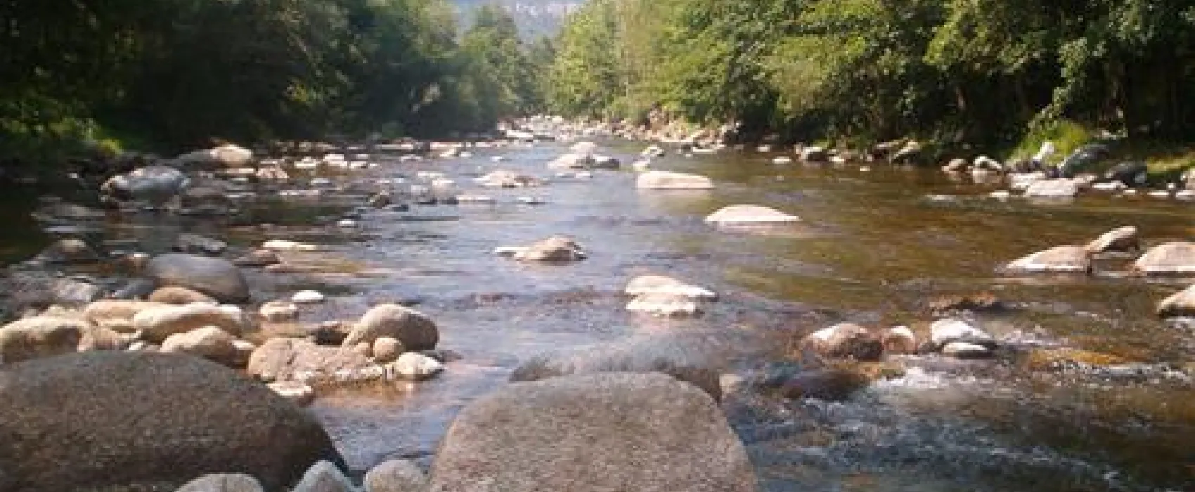 Camping Vallespir  