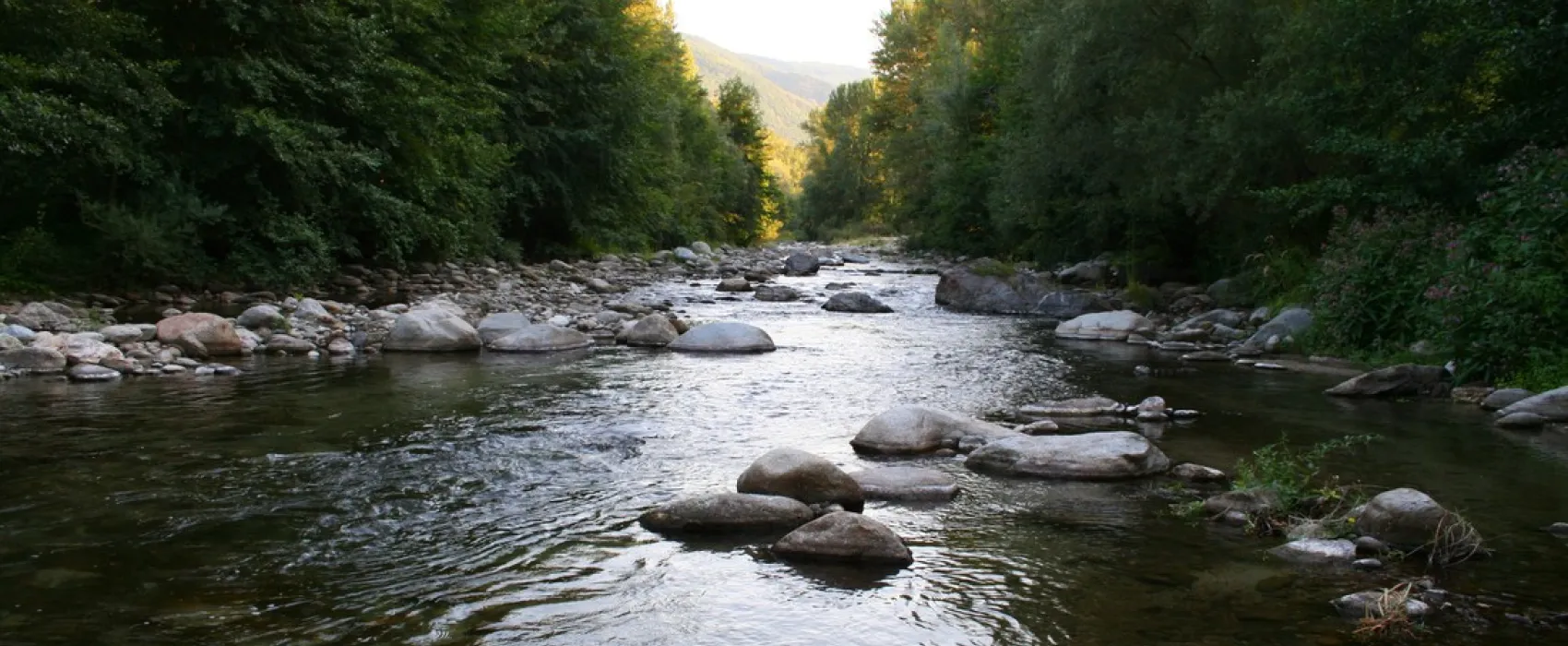 Camping Vallespir  