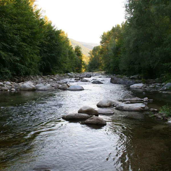 camping-vallespir-arles-sur-tech-s4w5y