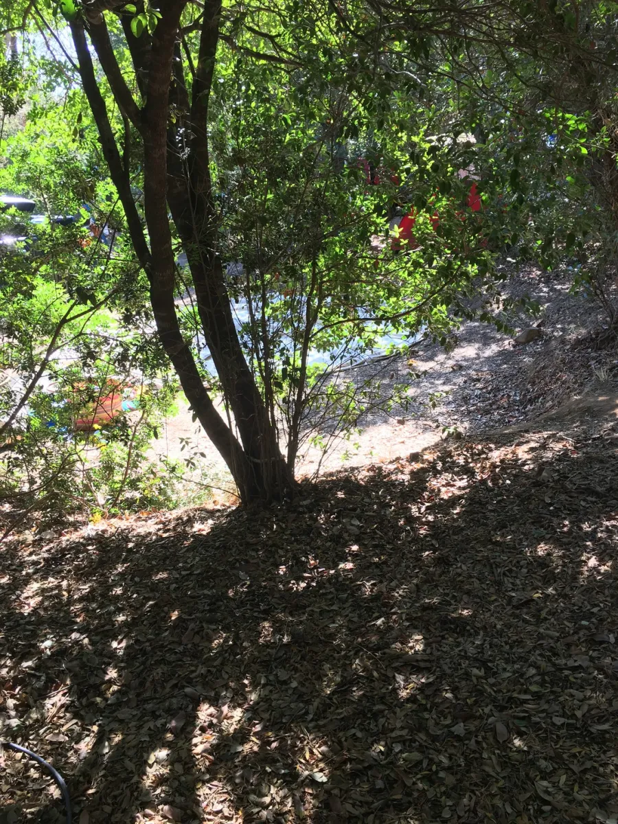 camping-u-pirellu-porto-vecchio-zyhmg