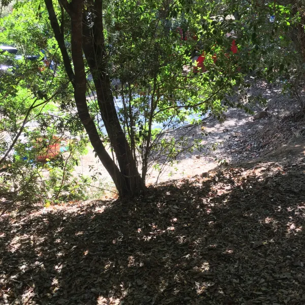 camping-u-pirellu-porto-vecchio-zyhmg