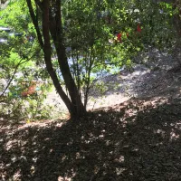 camping-u-pirellu-porto-vecchio-zyhmg