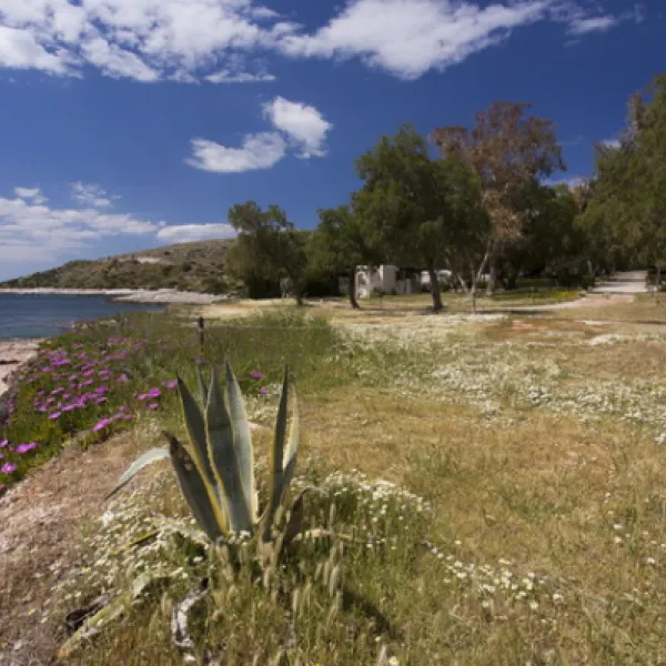 Camping Varkiza Beach