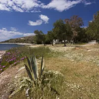 Camping Varkiza Beach