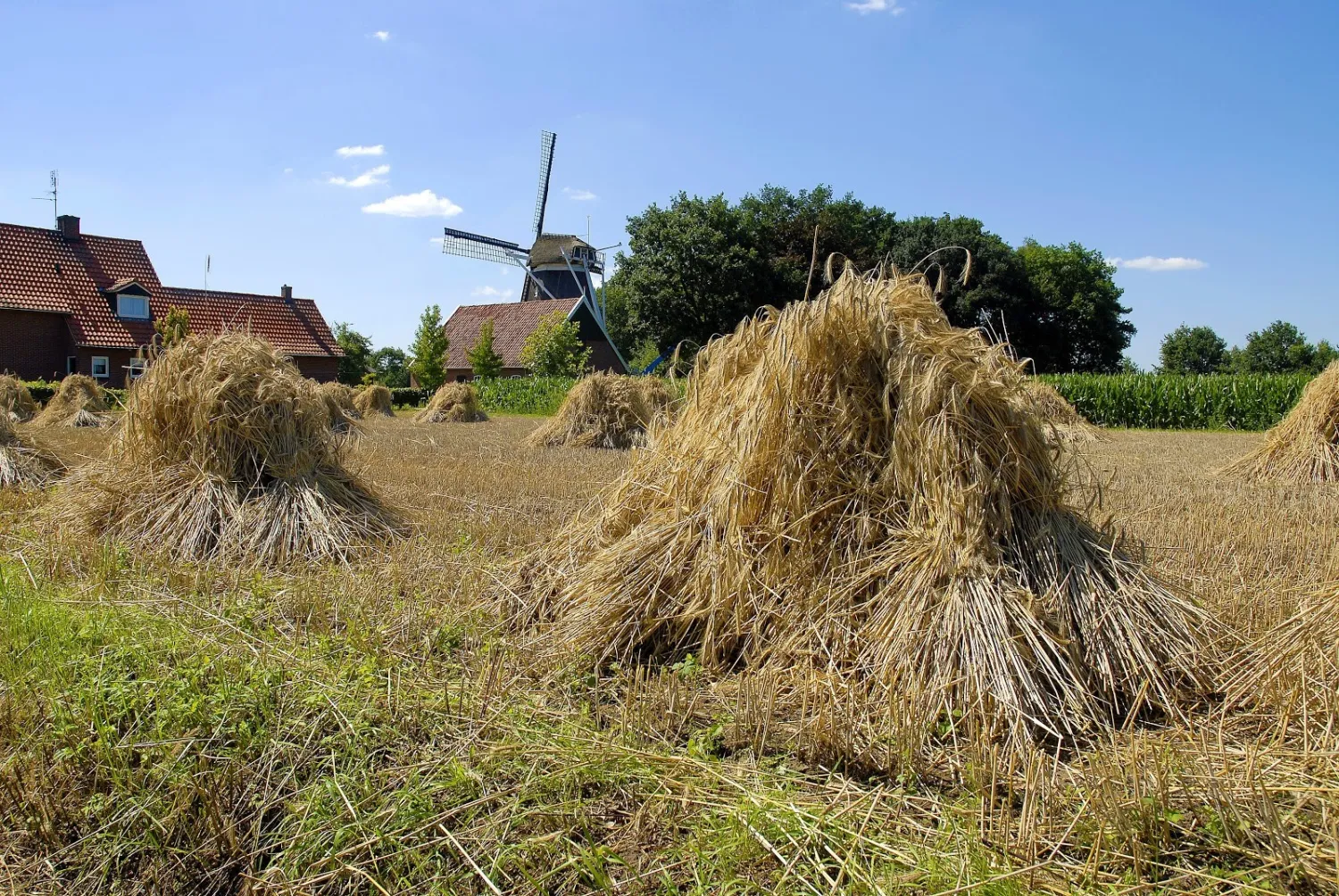 camping-de-bergvennen-lattrop-breklenkamp-opoev
