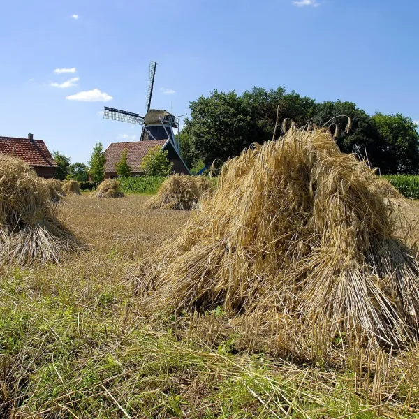 camping-de-bergvennen-lattrop-breklenkamp-opoev