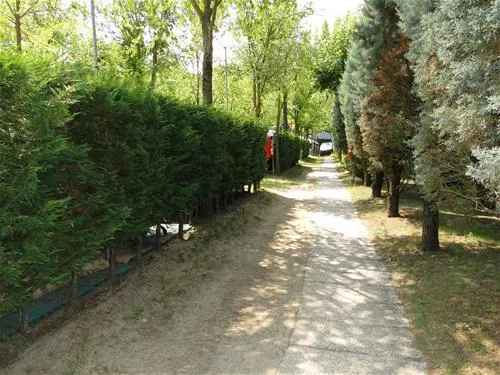 camping-darisi-c-pasquali-cavallino-3vxbu
