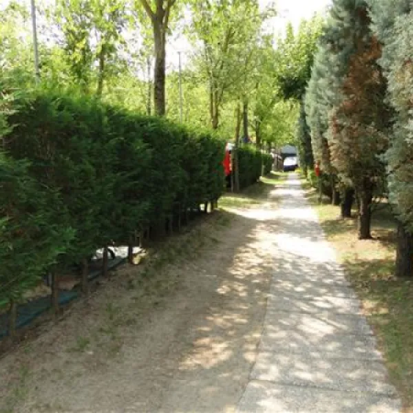 camping-darisi-c-pasquali-cavallino-3vxbu