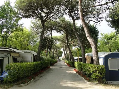 camping-darisi-c-pasquali-cavallino-wimhq