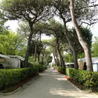 camping-darisi-c-pasquali-cavallino-wimhq