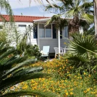camping-il-cicero-san-giorgio-5napp
