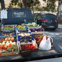 camping-il-cicero-san-giorgio-dnxpq