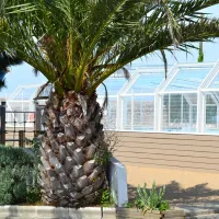la-tour-des-prises-la-couarde-sur-mer-ky0zf
