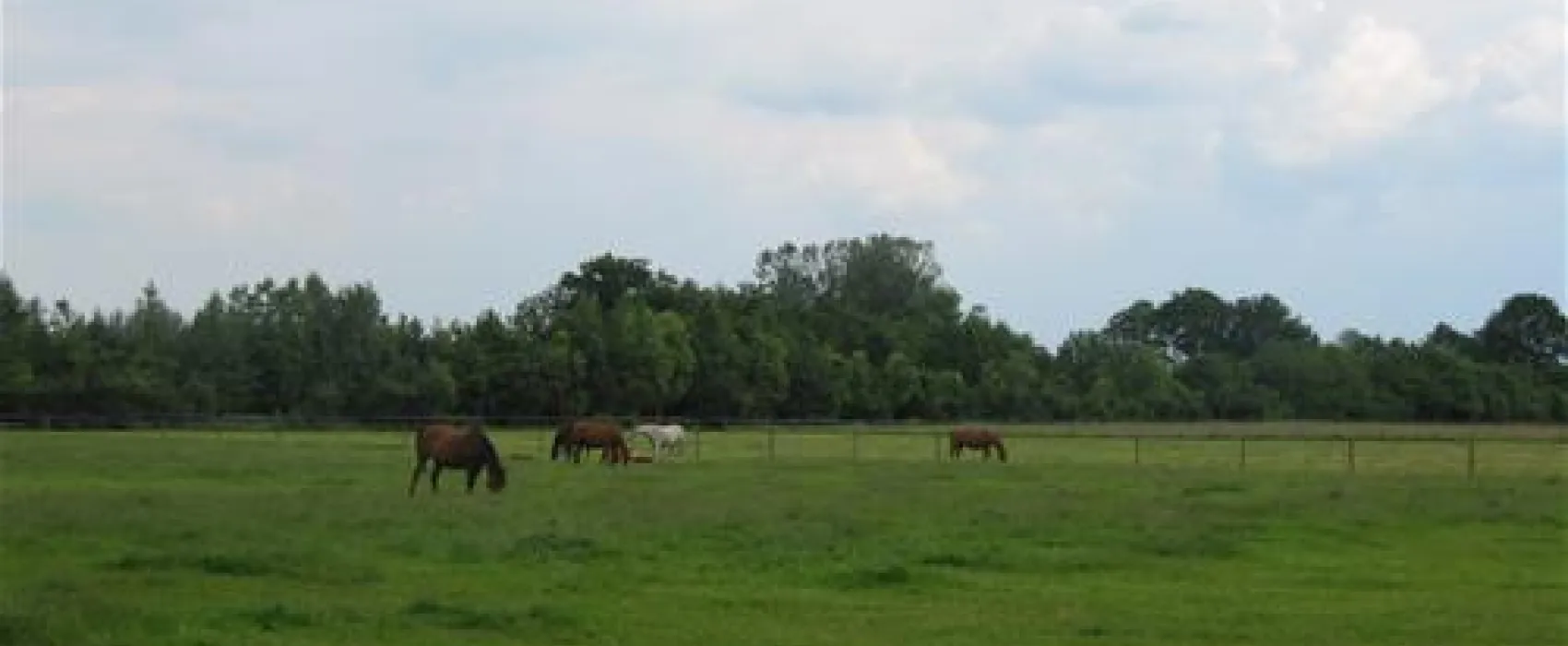 Camping De Biesterij